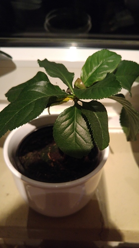 1474917667248-1967340826 1474917667248-1967340826