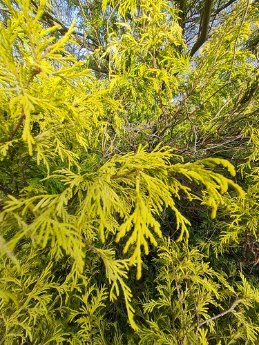 IMG-20220227-WA0006