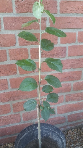 20180606_173942 20180606_173942