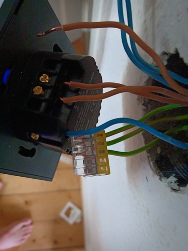 IMG20190202105233