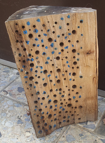 holz