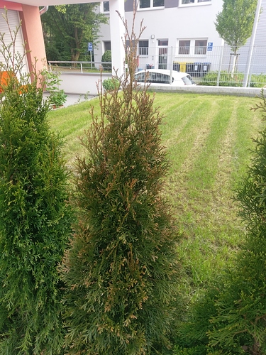 IMAG1277