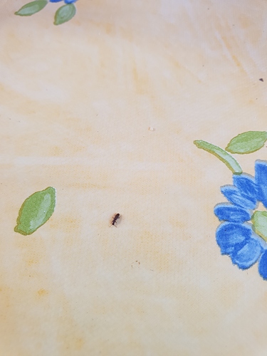20180701_160735