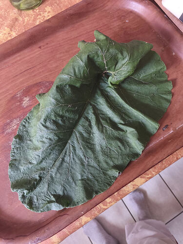 Blatt zum Töpfern