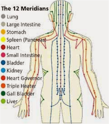 meridians