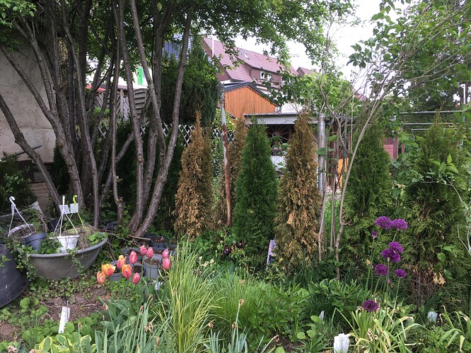 Foto 21.05.21, 17 52 44