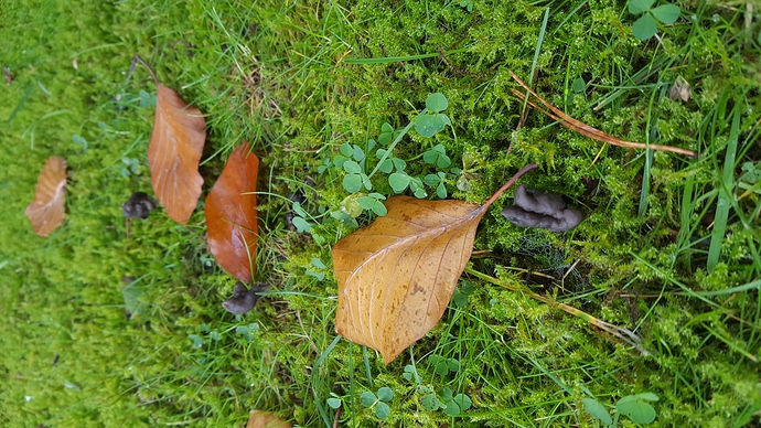 20171103_121056 20171103_121056