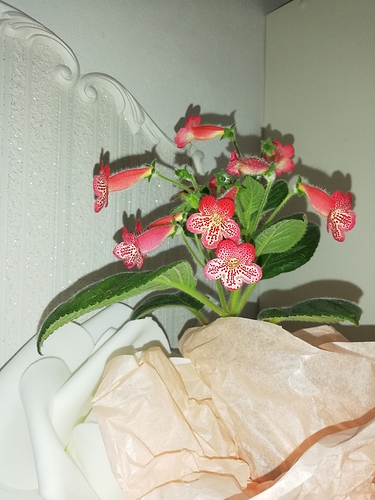 IMG_20230721_171828