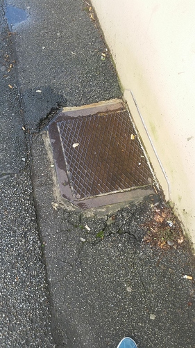 IMG-20170417-WA0001