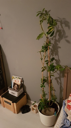 20170817_220425 20170817_220425