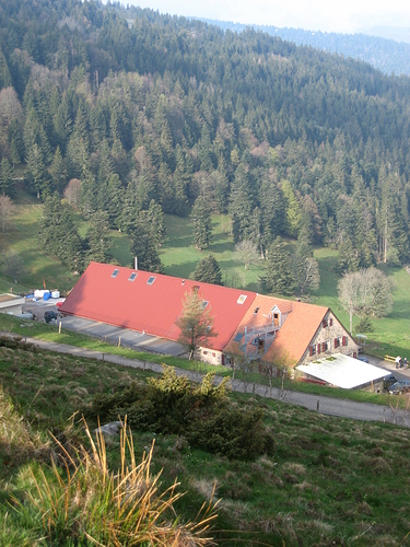 Rothenbrunnen 2019 05 11 038