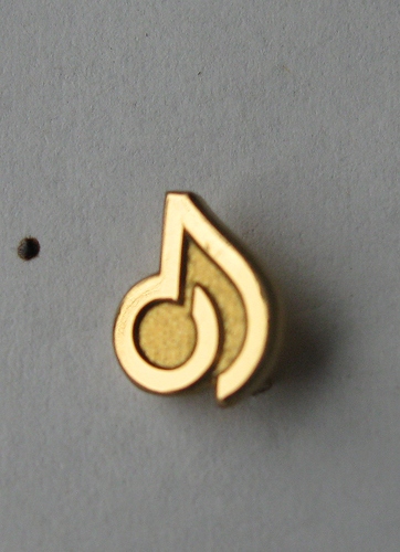 Pin