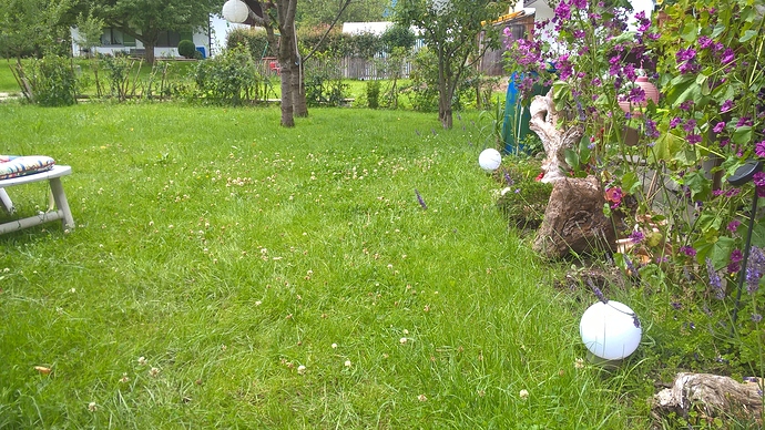 WP_20160704_14_03_24_Pro