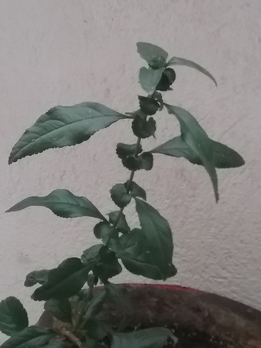 tmp_7066-20161118_122012-1019016593