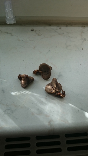 IMG-20160125-WA0002 IMG-20160125-WA0002