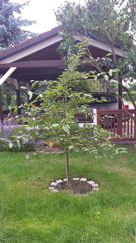 1466949139658-302644607