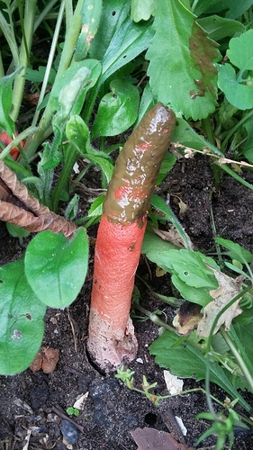 IMG-20170617-WA0000 IMG-20170617-WA0000