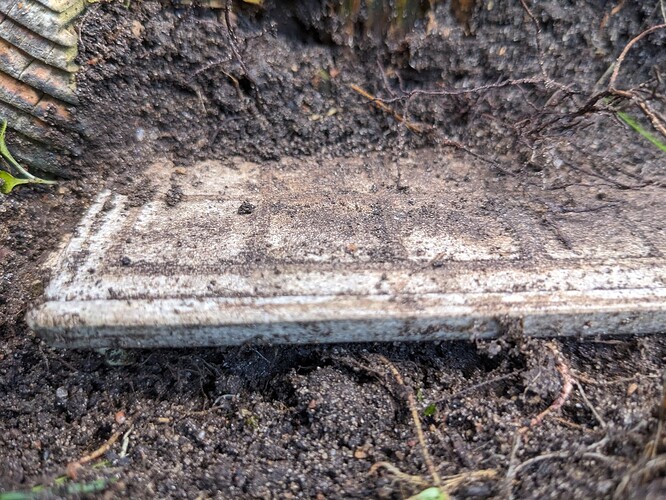 PXL_20251018_131900933.MP