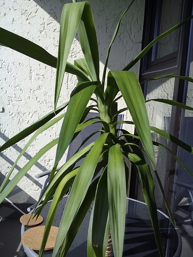 aktueller Zustand aktueller Zustand