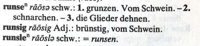 runsen