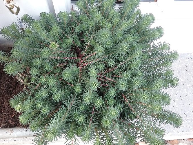 20170226_130545 20170226_130545