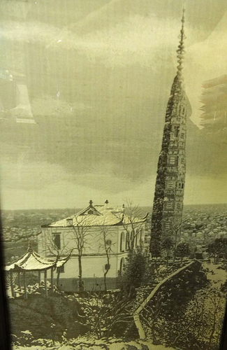 DSC07386.1