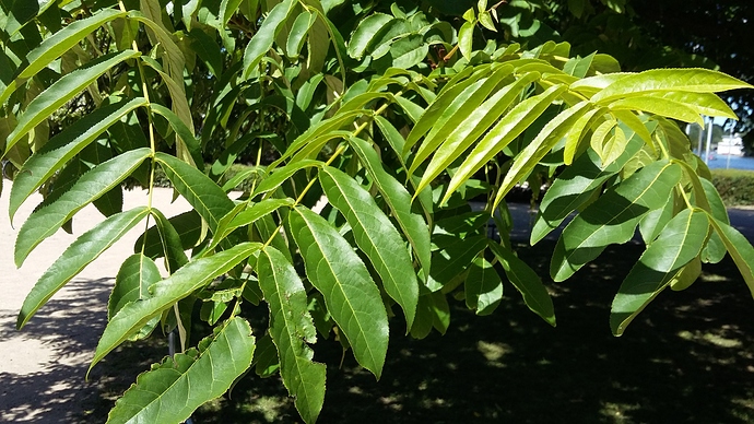 20180701_151022