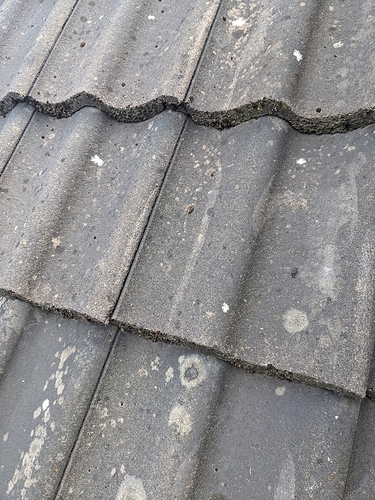 PXL_20250505_112209520