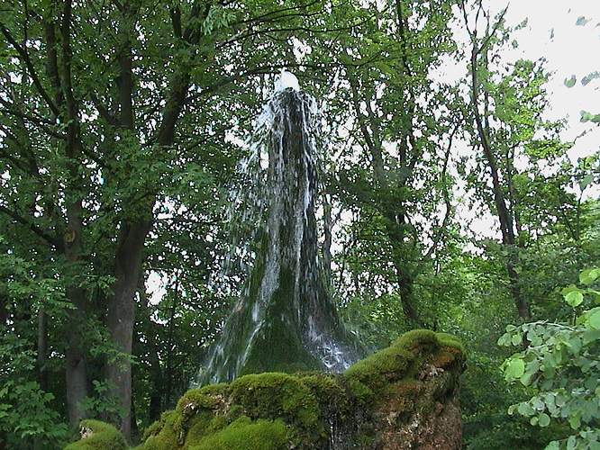 Wasserbaum