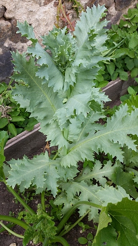 20170621_153911 20170621_153911