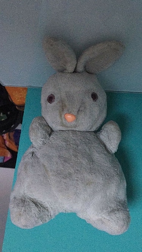 Hasi