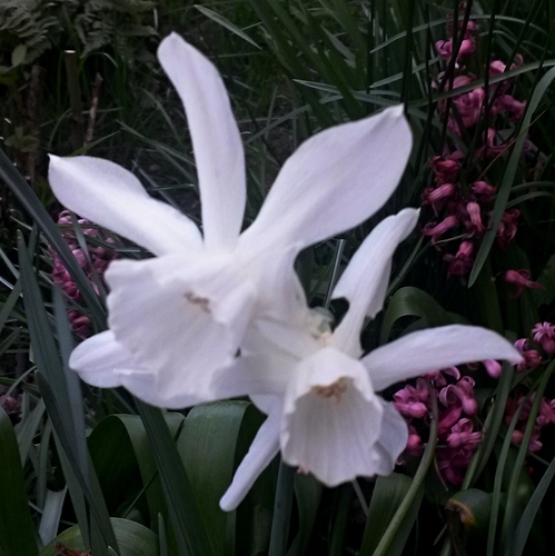 2016-04-11 16.45.52 2016-04-11 16.45.52