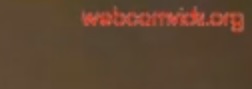 webseite