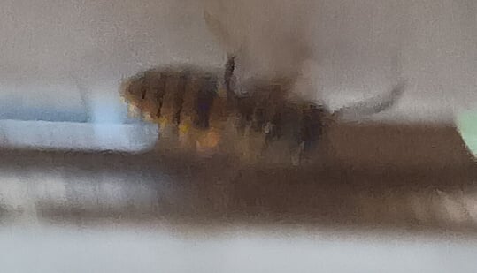 grafik