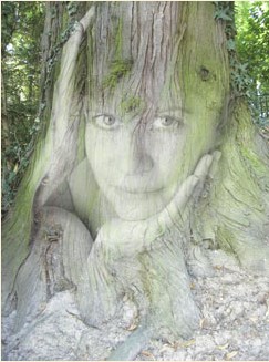 Baumgesicht13