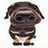 HUNDsen
