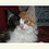 Jenny_Maus_a3b8e7