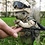 K_1