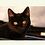 Sandy_3767c1