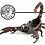 Scorpion_0f911c