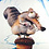 scrat_age