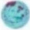 t5ttniTnb6ninaz09b6jv6nqNina8 t5ttniTnb6ninaz09b6jv6nqNina8