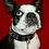 wow_wow_dogfashion